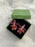 Ember Earrings